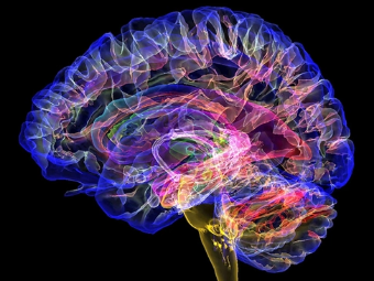 肏我屄屄视频大脑植入物有助于严重头部损伤恢复